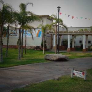 Instalación de palmeras