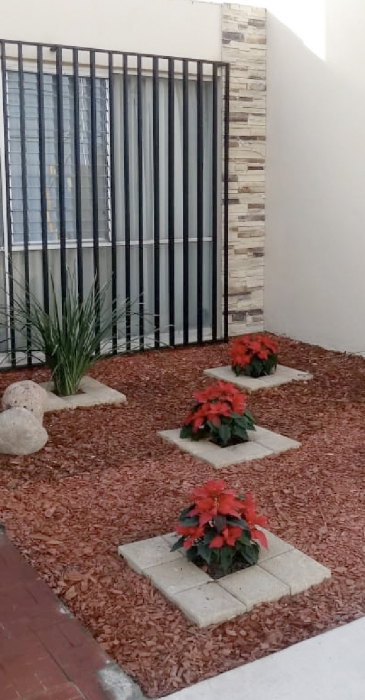 servicios2