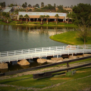 Paisajismo