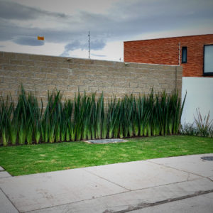 Instalación total (equipo de riego automatizado, diseño/decoración, e instalación de plantas y jardín).